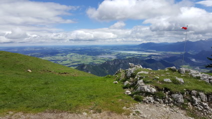 Breitenberg 2016 - 1
