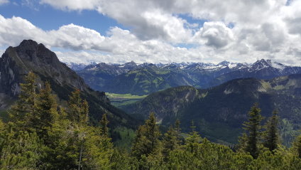 Breitenberg 2016 - 5