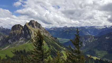 Breitenberg 2016 - 6